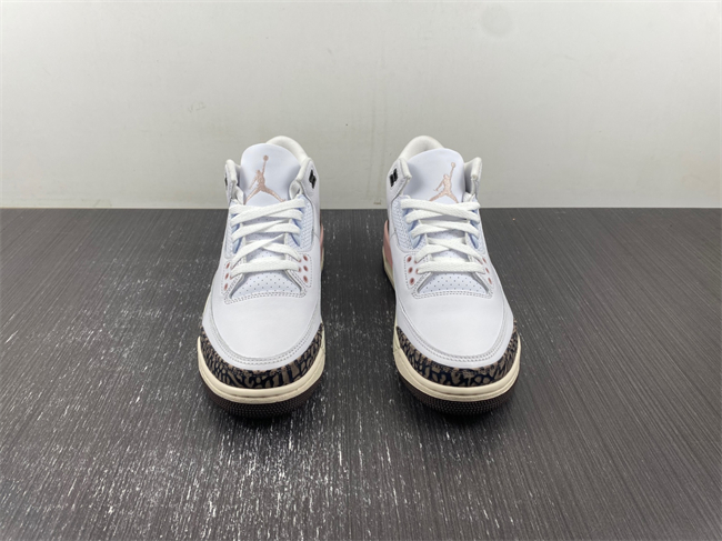 Jordan3 Neapolitan Dark Mocha CK9246-102